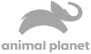Animal Planet
